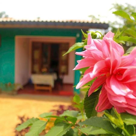 Yoho Nilmini Homestay Элла Экстерьер фото